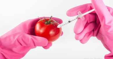 Żywność GMO przyszłością?