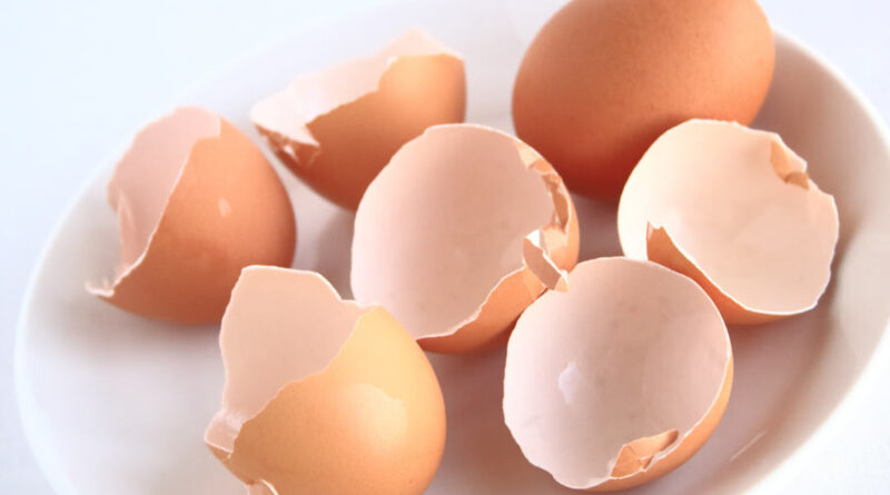 Zalety jedzenia sproszkowanych skorupek jaj kurzych
