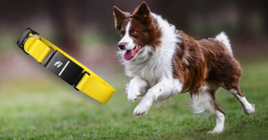 obroża Fi Series 3 Plus