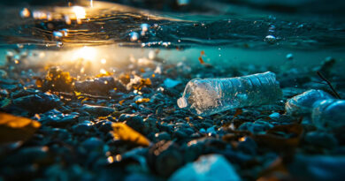 Nanoplastik w Atlantyku