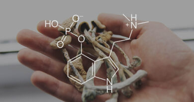 wpływ psilocyny na starzenie