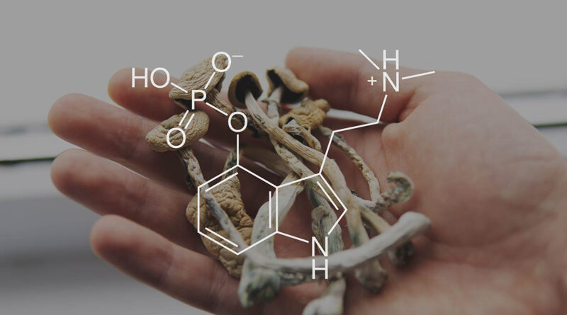 wpływ psilocyny na starzenie